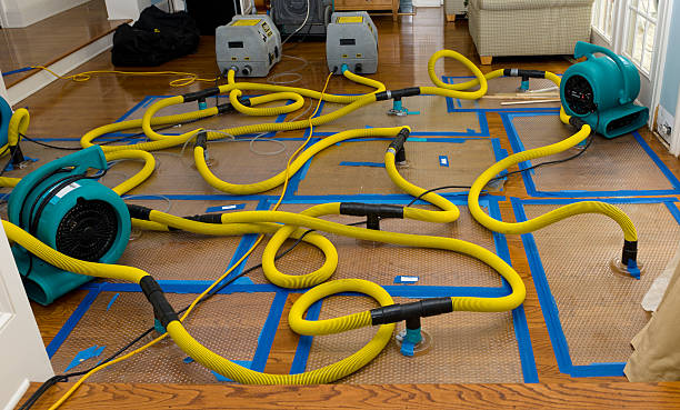 Professional Storm Water Damage Restoration technician working in Mountlake Terrace, WA